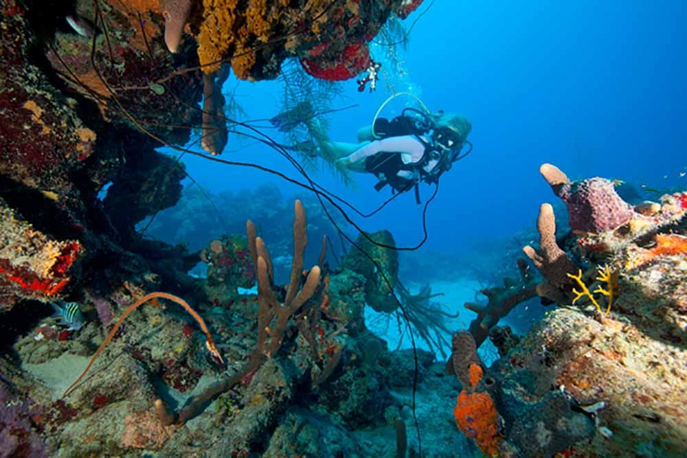Cane Bay Dive Shop, St. Croix