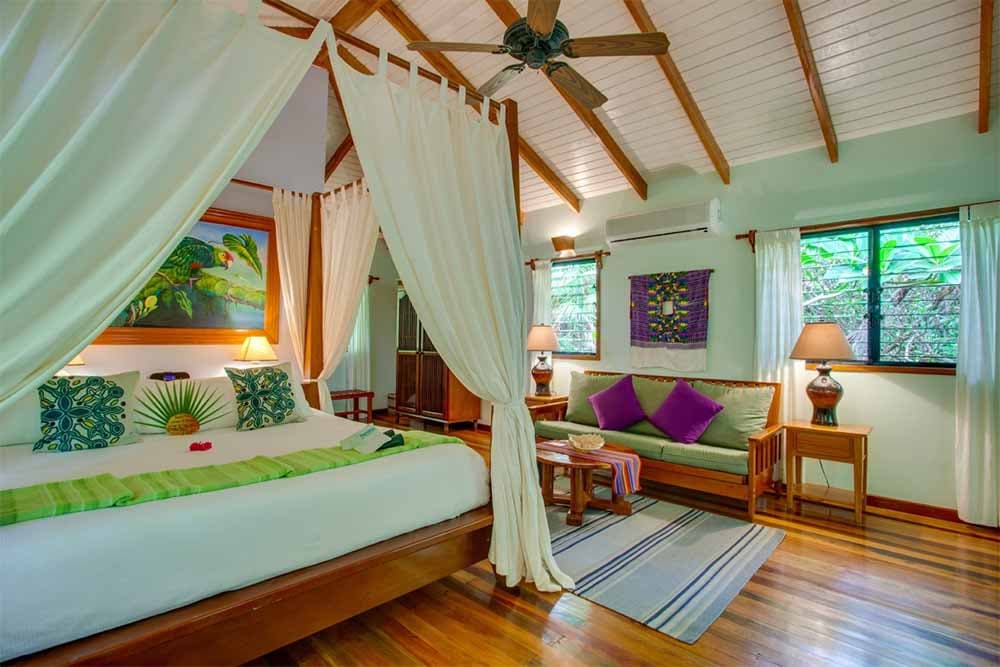 Tropical resort room